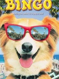 灵犬宾果国语在线观看,国语版动画电影,在线观看,欢乐来袭! 第3张 灵犬宾果国语在线观看,国语版动画电影,在线观看,欢乐来袭! 第3张