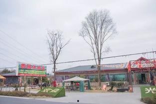 德阳最新爆料,揭秘城市背后不为人知的秘密 第3张 德阳最新爆料,揭秘城市背后不为人知的秘密 第3张